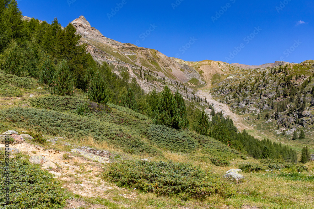 Ötztaler Alpen am Ende des Schnalstals