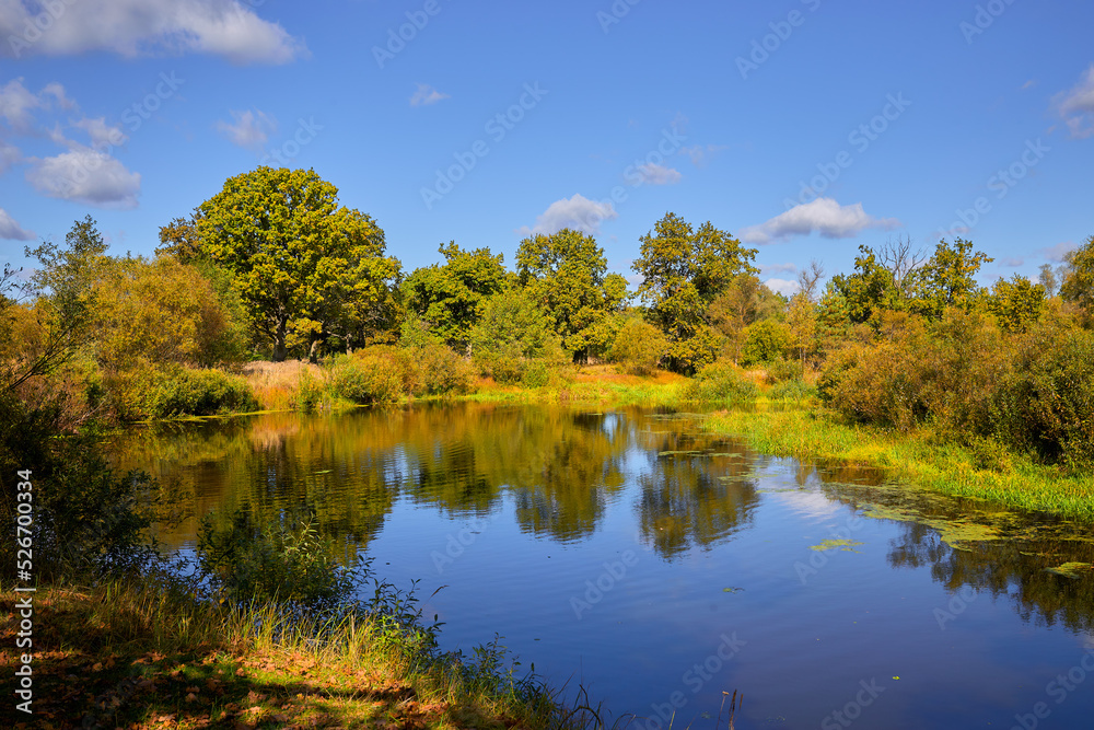 Beautiful view of the river on a bright sunny autumn day