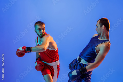 Right hook. Male professional boxers in red and blue sports uniform boxing isolated on blue background in neon light. Sport, skills, power, training, energy © master1305