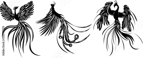 phoenix bird silhouette isolated, vector