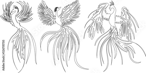 phoenix bird sketch,outline vector, isolated