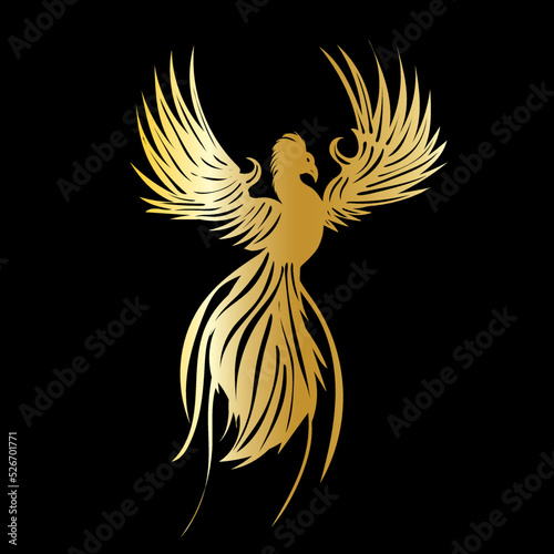 golden phoenix bird silhouette isolated, vector
