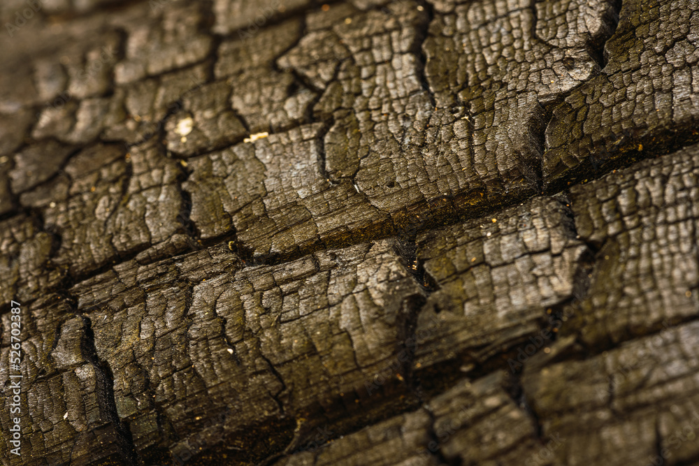 Burnt wood texture.Details on the carbon surface. Black background Burnt wood texture.Details on the carbon surface. Black background