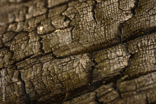 Burnt wood texture.Details on the carbon surface. Black background