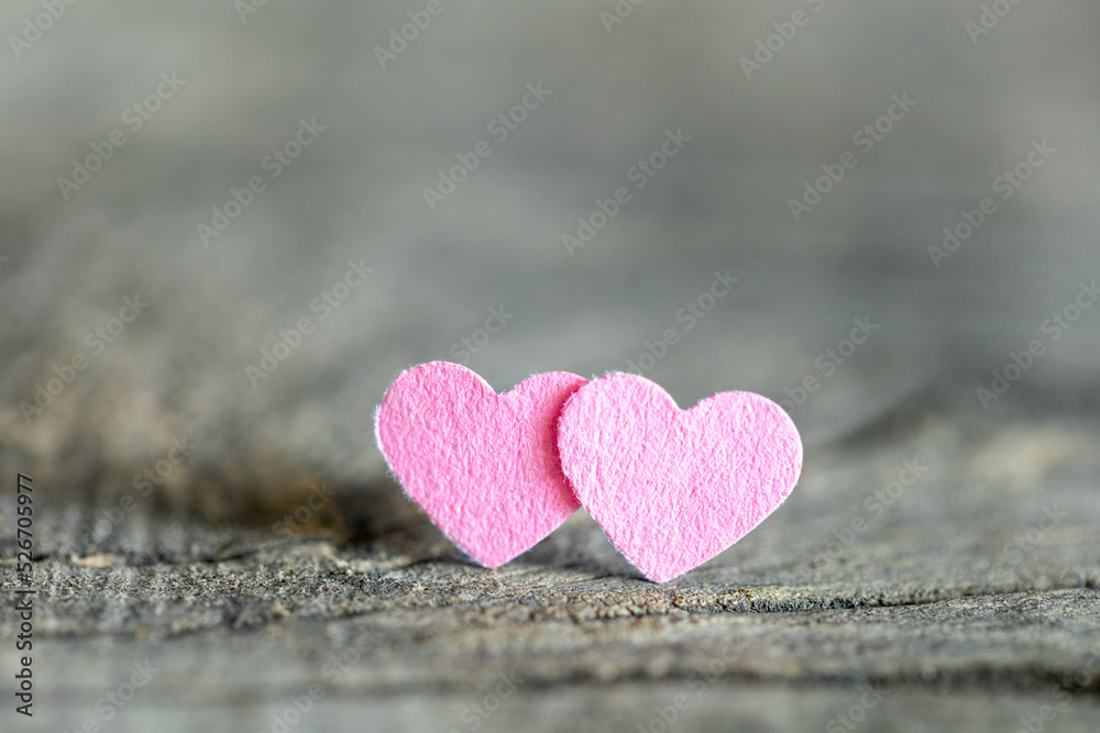 Fototapeta premium Two pink hearts. A symbol of lesbian love