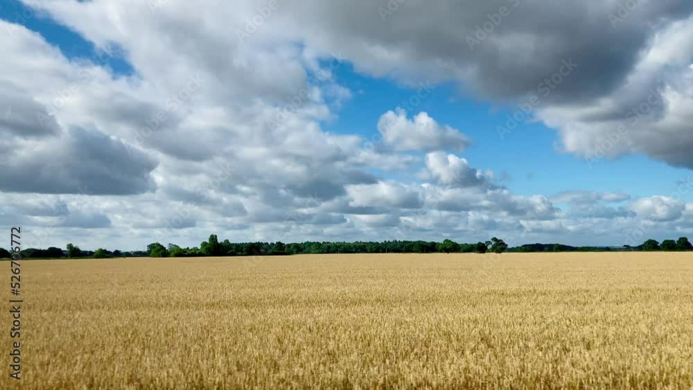 Background plate of moving train through farmland Background plate of moving train through farmland