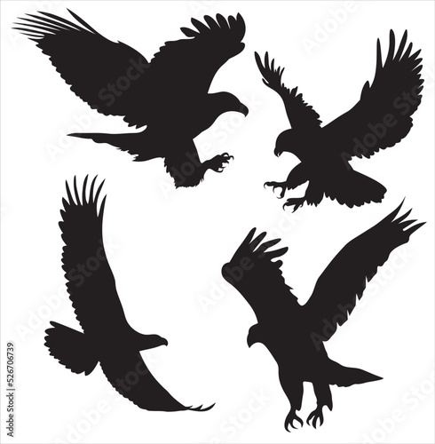 Vector set of silhouettes of attaching eagle 4 pieces. Shadows of birds of prey hunters..