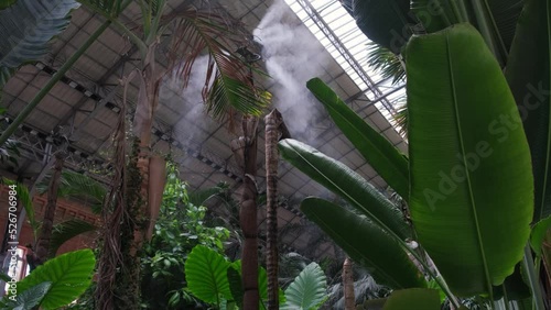 Irrigation system close up. Air humidification with steam in a batanic garden to create a climate for plants.