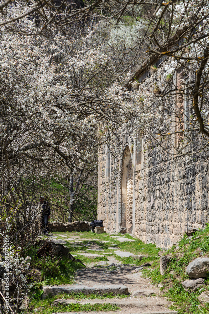 The way among blossoming trees in spring to the old church in Khndzoresk cave settlement (13th-century, used to be inhabited till the 1950s), Syunik region, Armenia