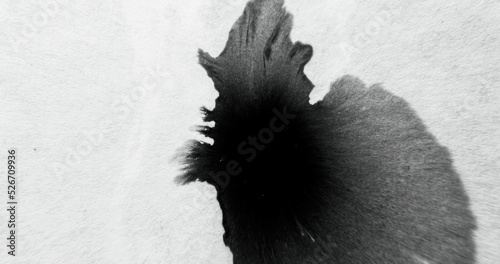 Black paint splash on white paper. Splatter overlay. Ragged edge texture. Wet ink blot on grain uneven abstract background with defocused motion blur.
