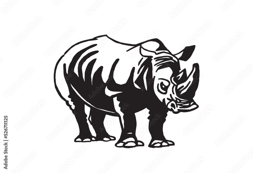 Vector illustration of rhino isolated on white background, grey rhinoceros 