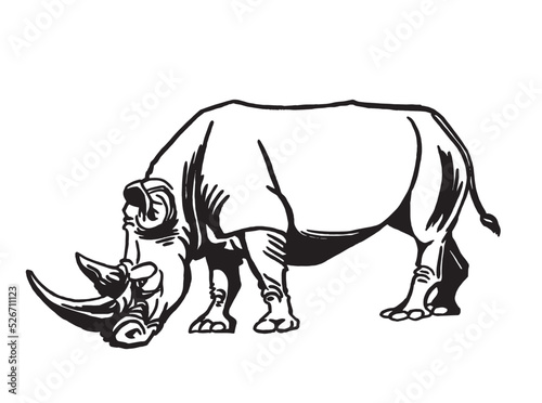 Vector illustration of rhino isolated on white background  grey rhinoceros 