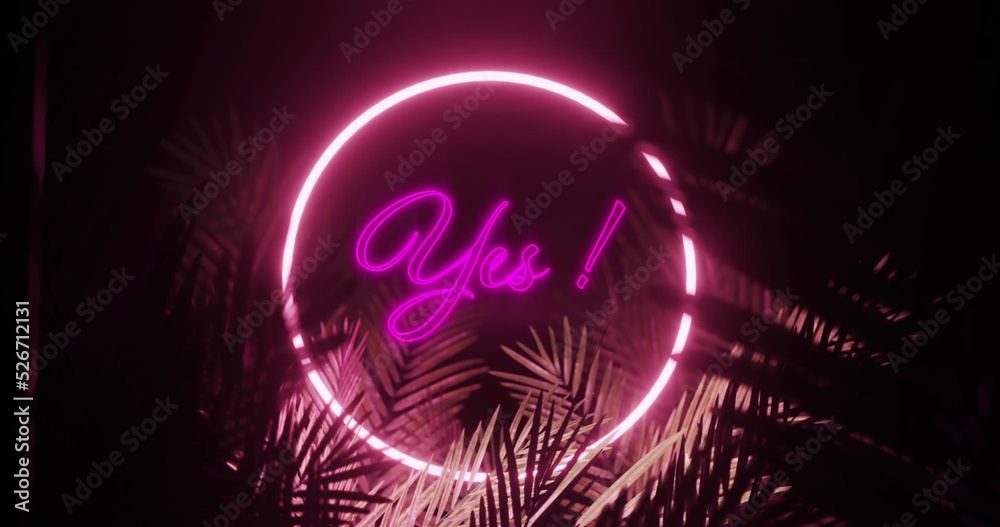Image of yes text and ring in pink neon, over palm leaves on black background Image of yes text and ring in pink neon, over palm leaves on black background