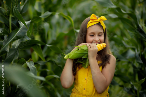 Bild auf Leinwand child girl stands in a cornfield and eats yellow corn