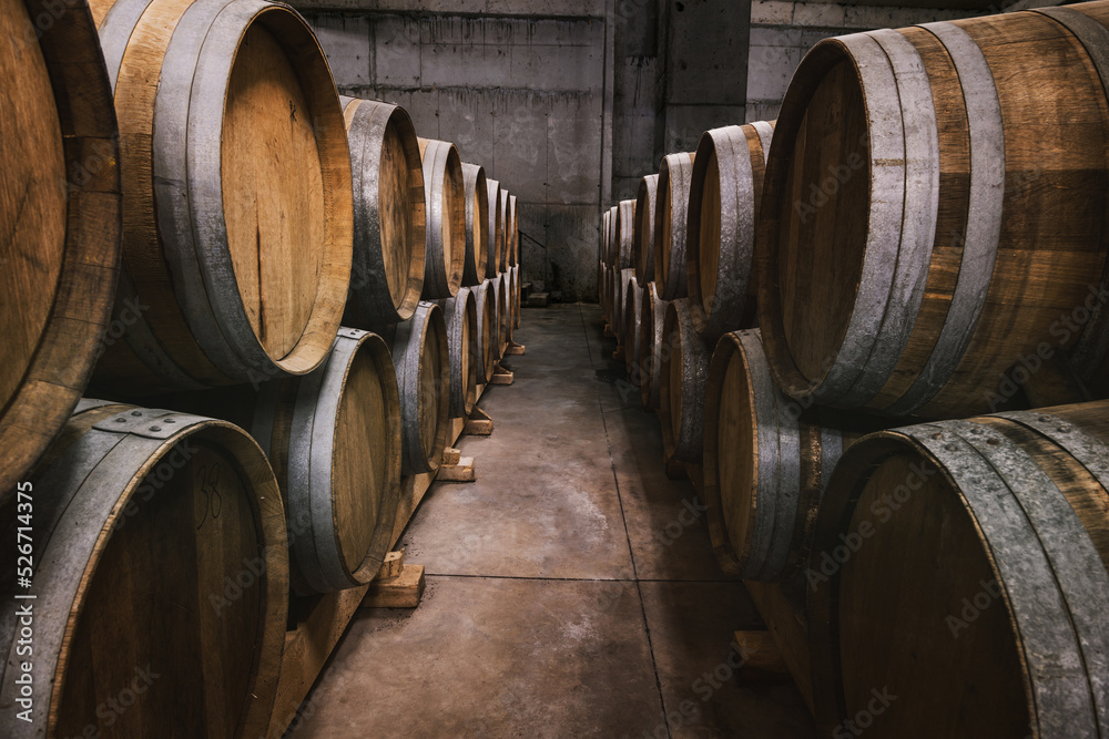 Oak barrels. Wine barrels are stacked in rows in the winery's cellar.