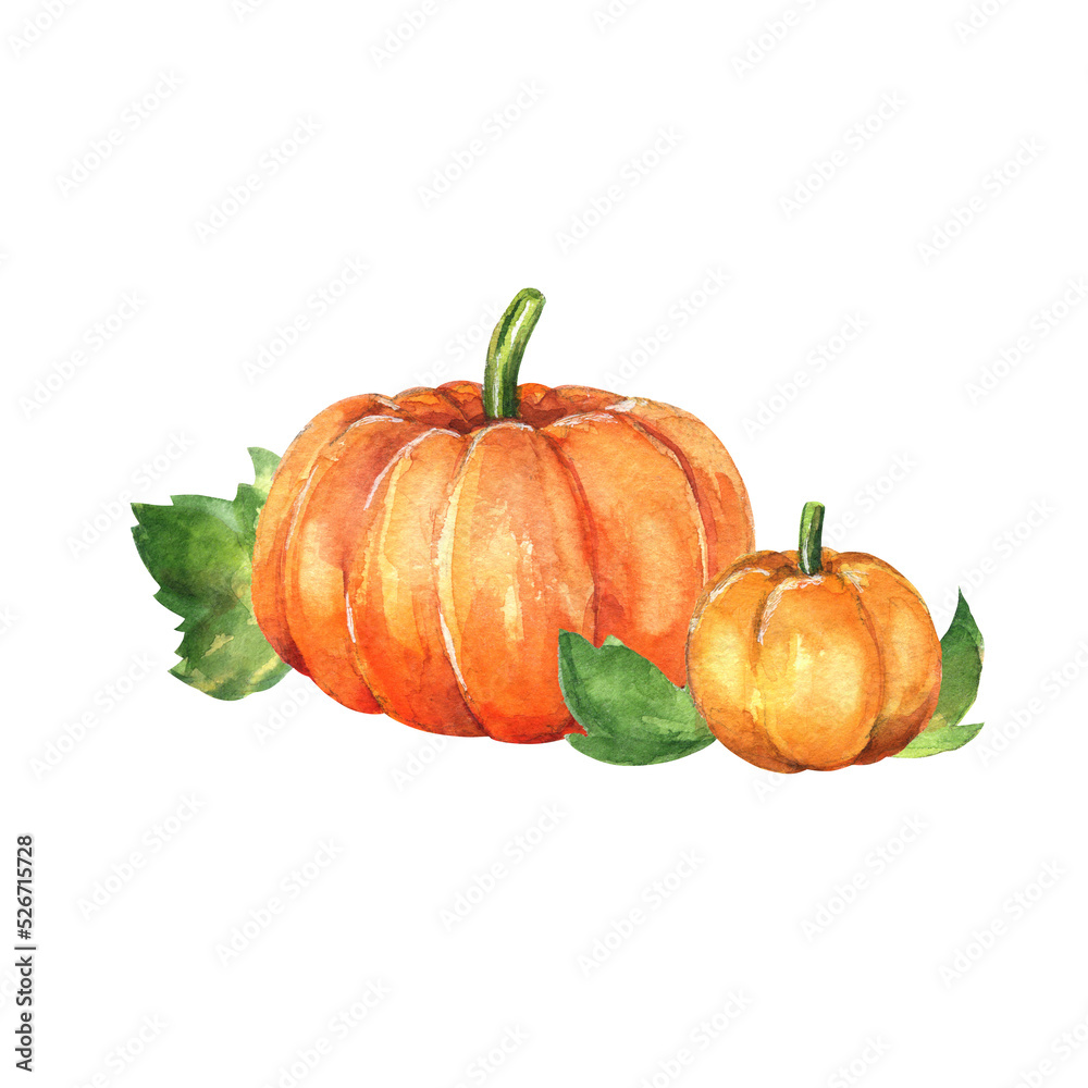 Fototapeta premium Watercolor pumpkis
