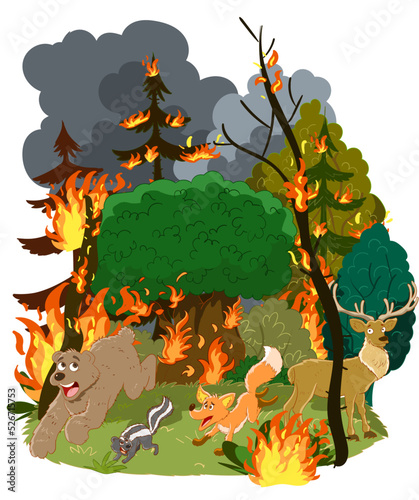 Trees in forest on fire vector illustration