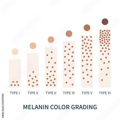 Print op canvas Melanin color palette scheme from light to dark brown