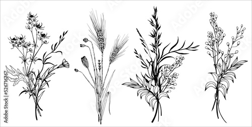 Set of wildflowers bouquets. Hand drawn black and white vector illustration.