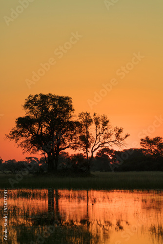 Sunset. Okavango Delta. Botswana