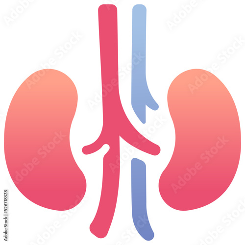 kidneys medical icon