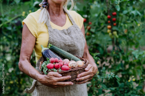 Close-up of senior farmer holding basket with autumn harvest from her garden.