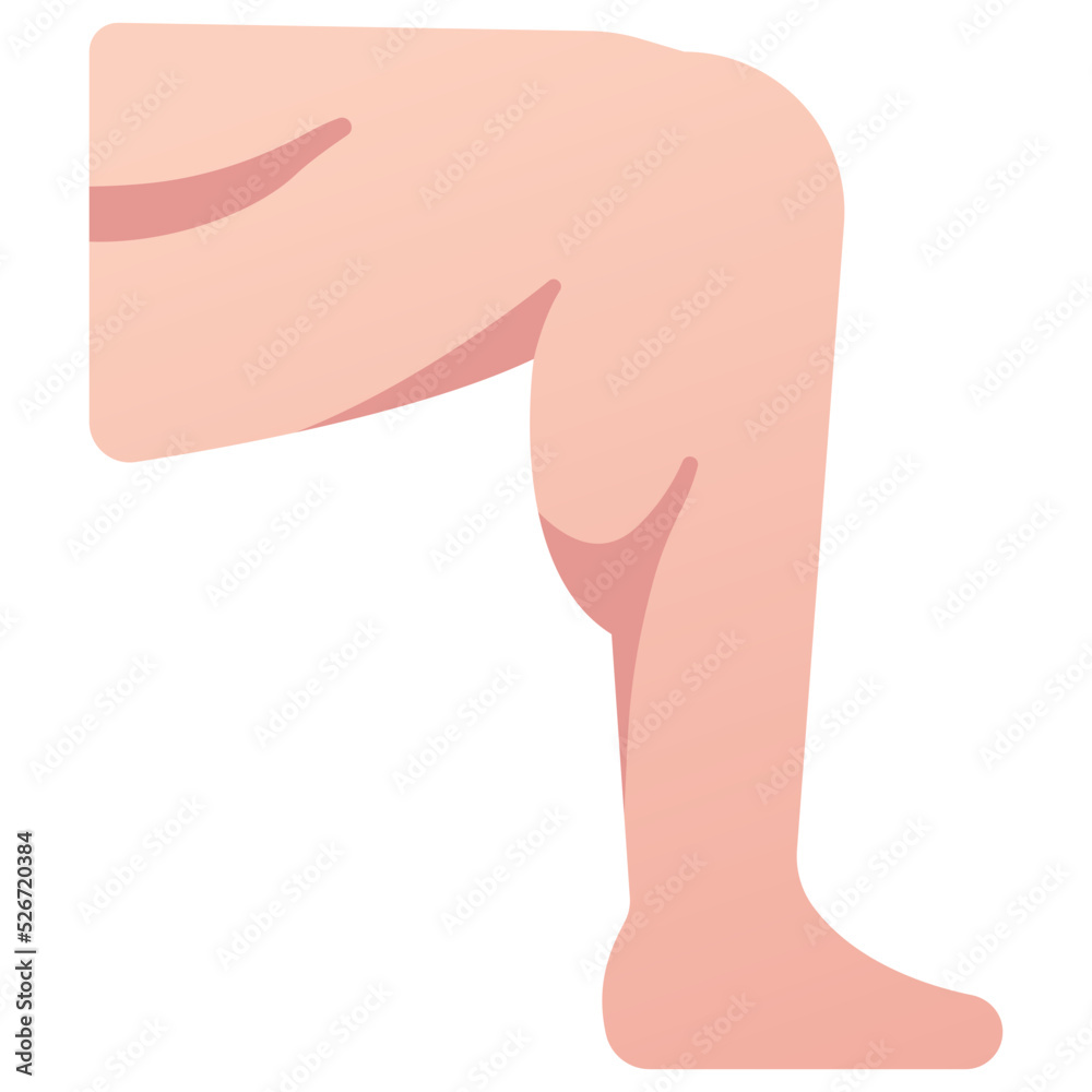 leg muscle icon leg muscle icon