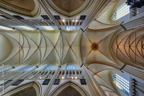 Saint Salvator Cathedral  Ceiling vault  Bruges  Belgium