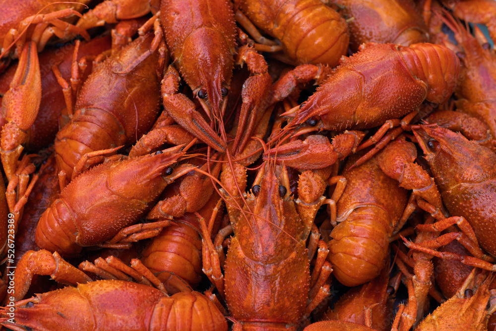 Boiled red crayfish or crawfish on a table close-up. Food background for menu. Top view, flat lay Boiled red crayfish or crawfish on a table close-up. Food background for menu. Top view, flat lay