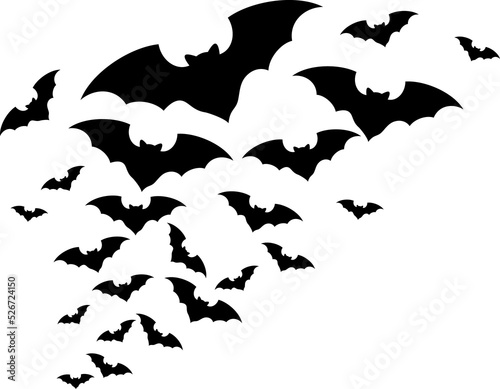 Tablou canvas Flock of bats png illustration