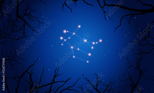   onstellation of Gemini. Stars on the blue night sky with silhouette of tree. Constellation scheme collection. Vector illustration