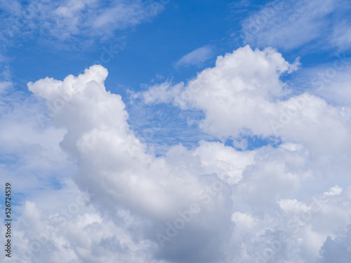 Background is sky and cloud
