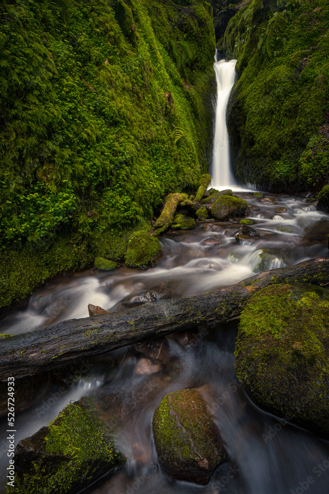 beautiful waterfall with moss covered rocks
