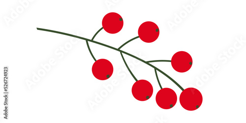 A sprig of wild lingonberry. Vector illustration.