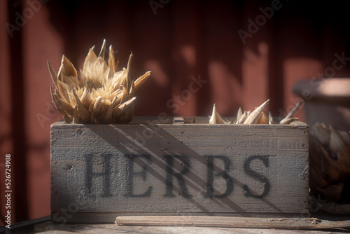 Herbs in wooden box © Peter