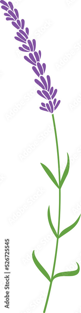 Lavender plant icon - png illustration