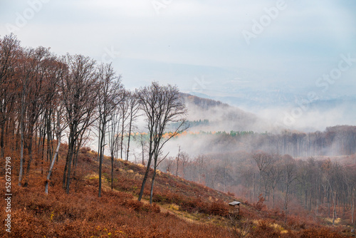 A hunting lookout tower watches over the foggy forests and fields on the hillsides of the Mátra, Hungary. 