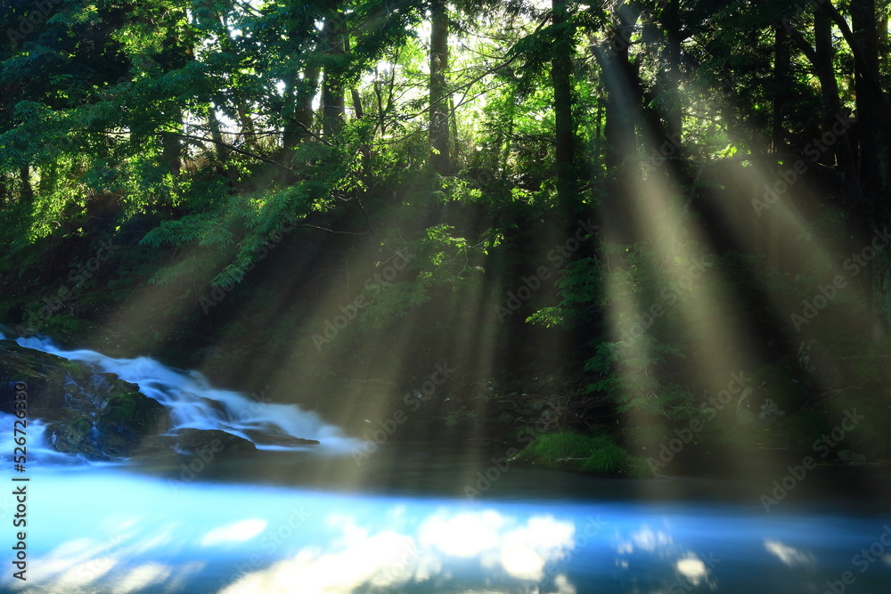 Fototapeta premium 岩手県住田町 夏の渓流