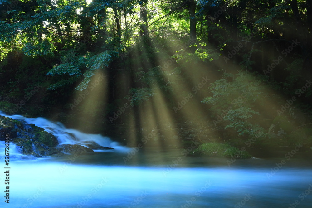 Obraz premium 岩手県住田町 夏の渓流