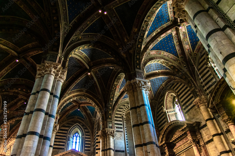 vault of the cathedral of Siena, Italy