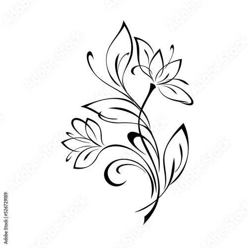 ornament 2438. stylized bouquet of blooming flowers with leaves and swirls. graphic decor photo