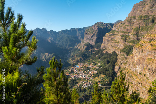 Vegetation from the Eira do Serrado viewpoint, Curral das Freiras, Madeira. Portugal