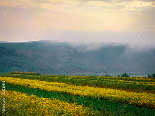 Morning fog over the fields in the valley. A plain under gentle hills. Atmospheric landscape.
