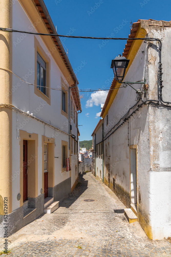 Obraz premium View over the historic whitewashed buildings in the city center of Portalegre in the Alentejo region, Portugal