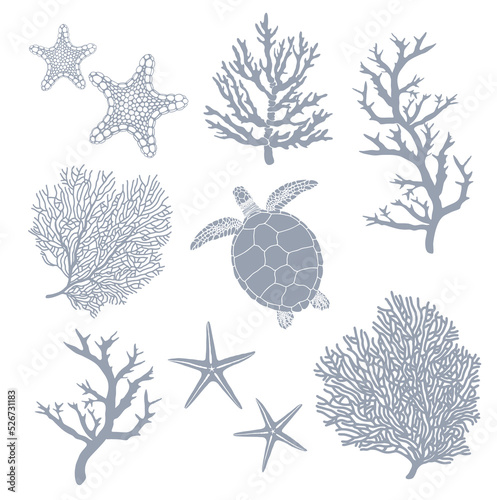 Fauna of the ocean. Vector set of gray silhouettes of corals, starfish and turtle isolated on white background.