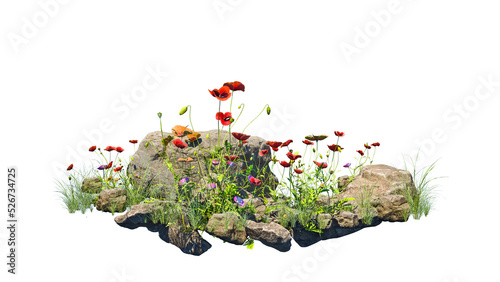 Foto Small garden consists of stone bush and flowers with isolated background