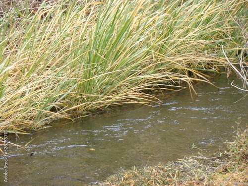 stream in fall © Elisha