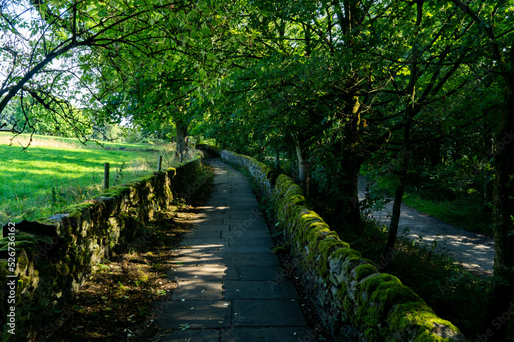snicket to haworth, country path, green, countryside snicket to haworth, country path, green, countryside