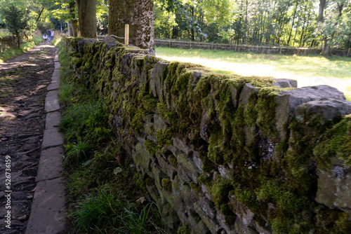 Dry stone wall Haworth  yorkshire  moss