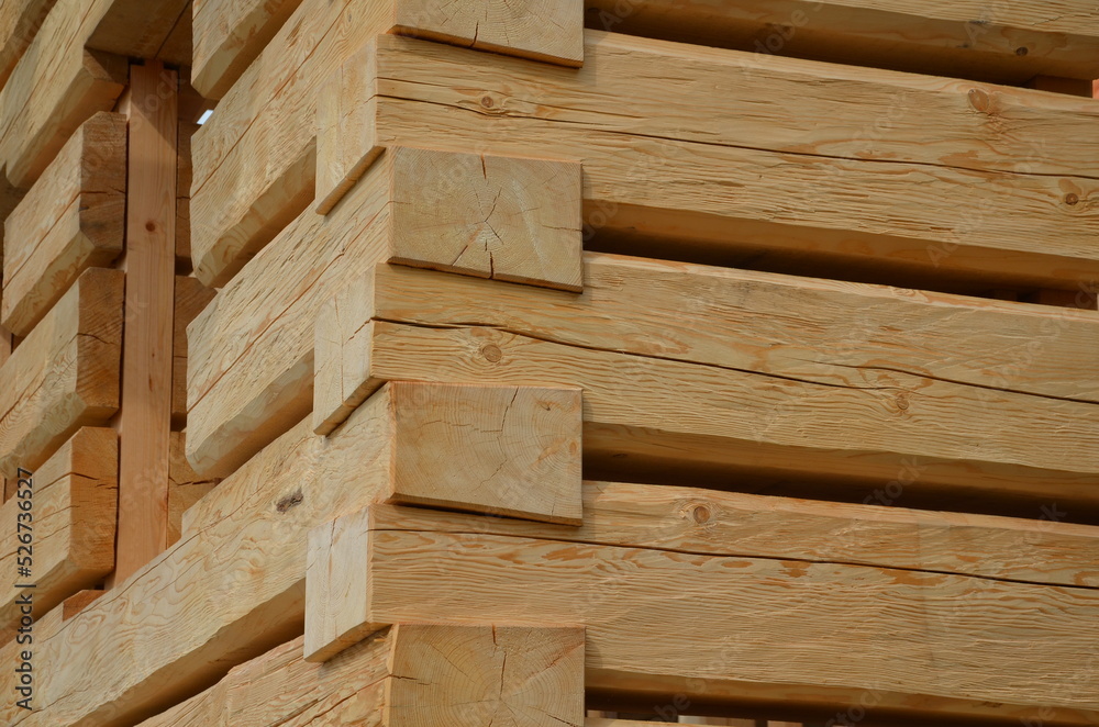 a carpenter built a log cabin with rough hewn beams. wood planing was not done before. authentic craftsmanship wooden log cabin. mortises for placing roof beams. gouging wood, ax, cut a carpenter built a log cabin with rough hewn beams. wood planing was not done before. authentic craftsmanship wooden log cabin. mortises for placing roof beams. gouging wood, ax, cut